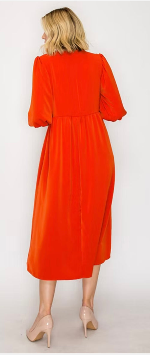 The Alice Dress-Spice Curry